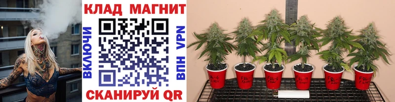 Что такое Жуков Alpha-PVP Мефедрон Амфетамин Конопля