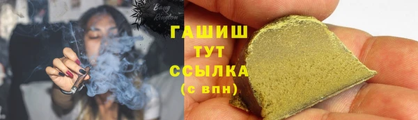 шишки Горняк