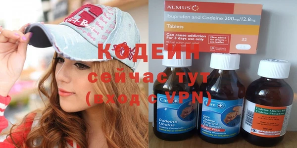 шишки Горняк