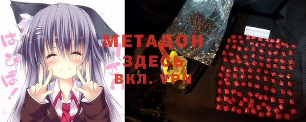 шишки Горняк