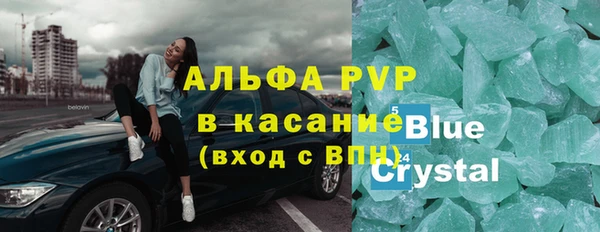 шишки Горняк